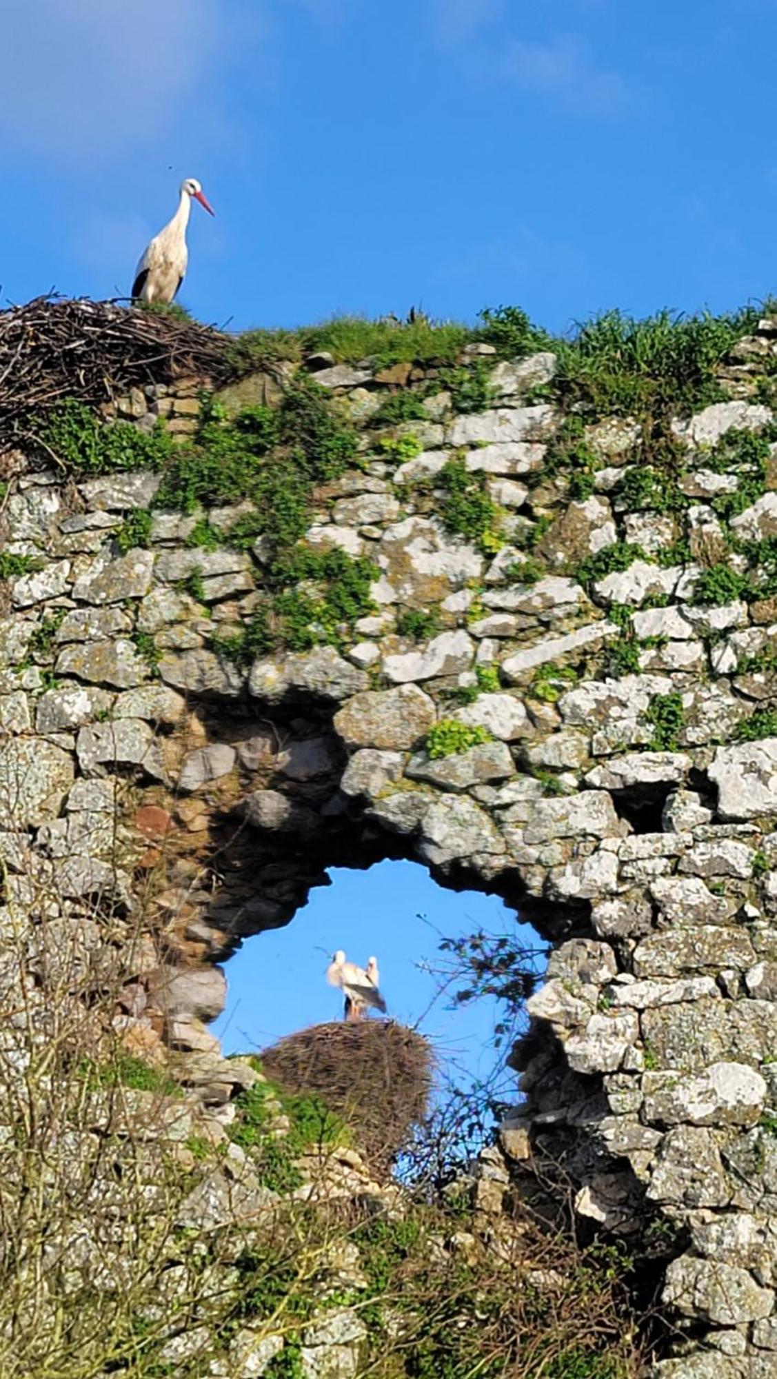 Gite Au Coeur Du Dday Brevands エクステリア 写真